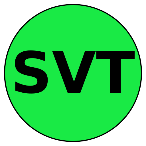 Savvy Value Travel