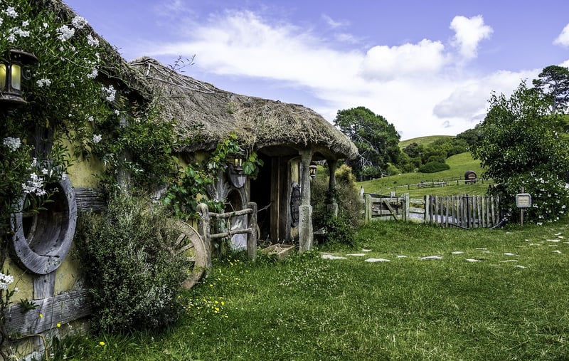 Hapuku Lodge Tree Houses in New Zealand